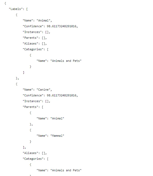 image-recognition-in-dotnet-with-amazon-rekognition