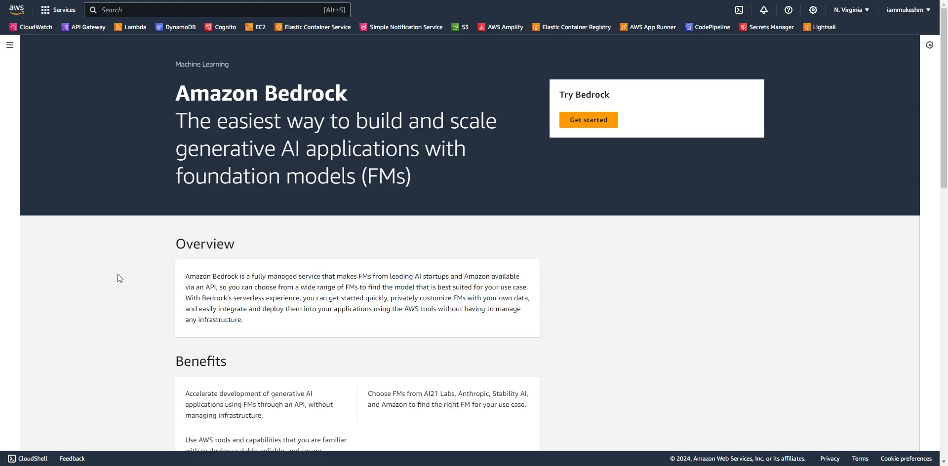 generative-ai-in-dotnet-with-amazon-bedrock