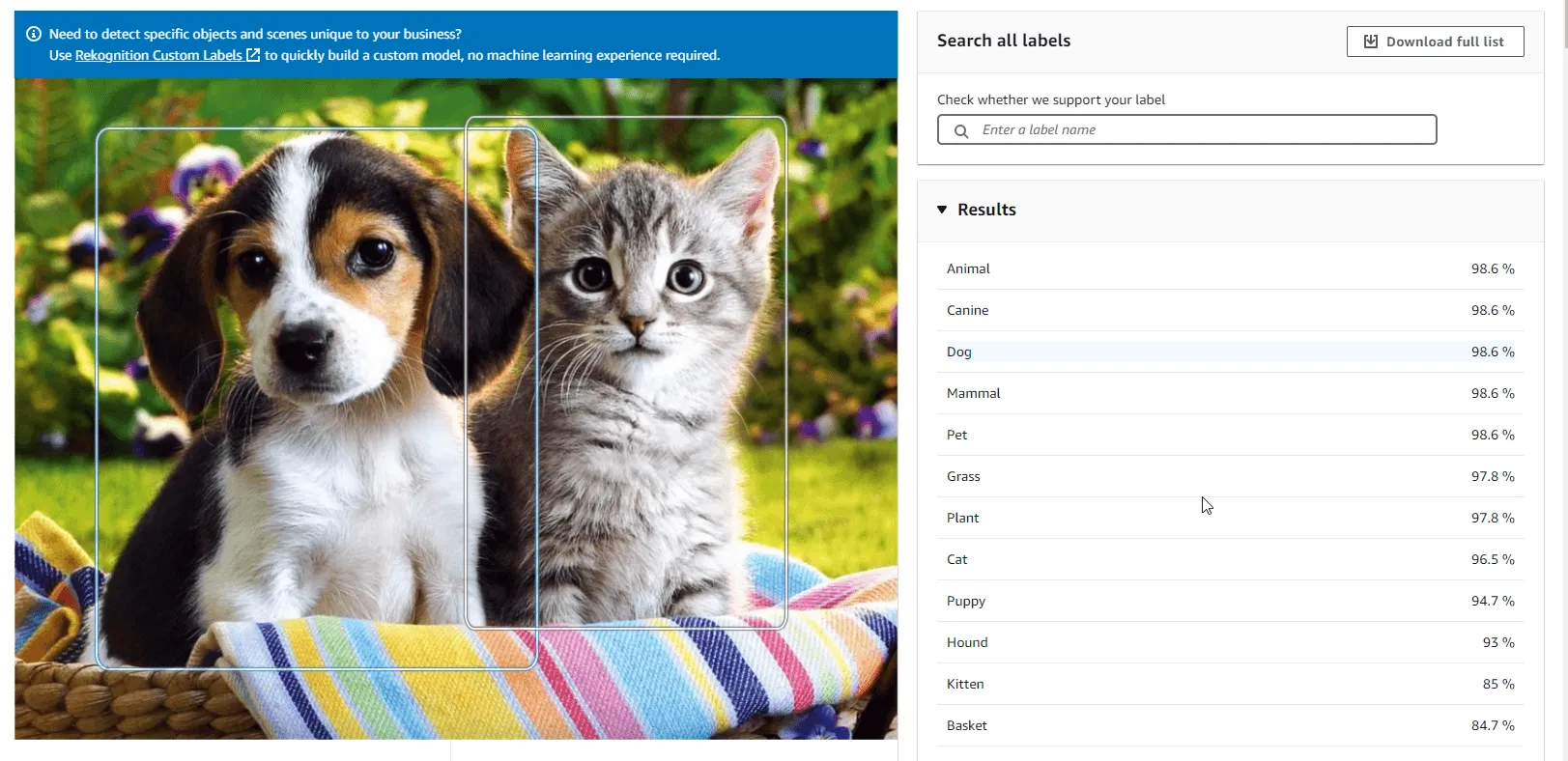 image-recognition-in-dotnet-with-amazon-rekognition