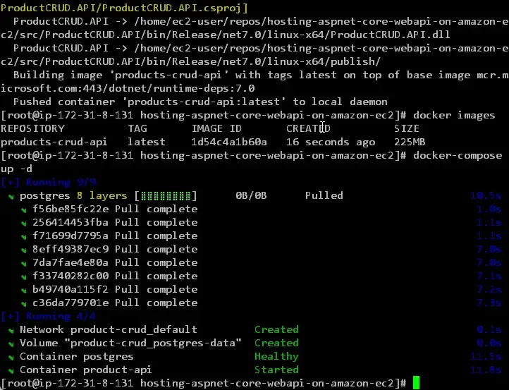 hosting-aspnet-core-webapi-on-amazon-ec2