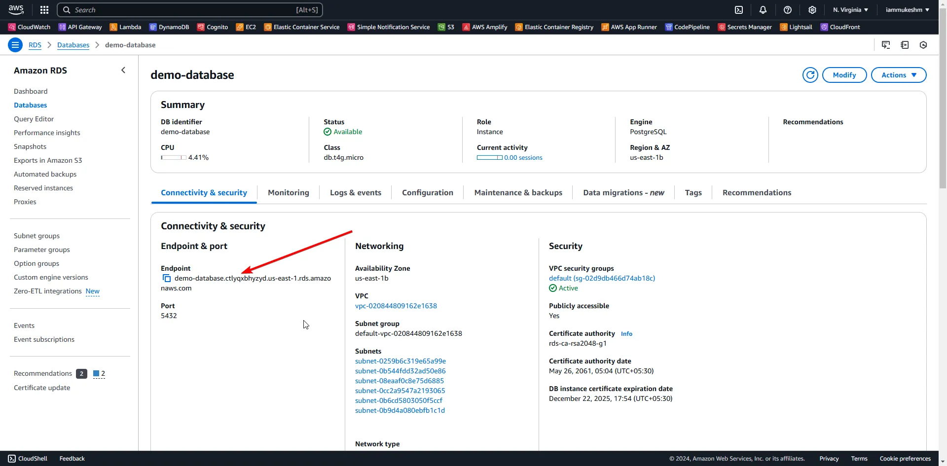 RDS Instance RDS Instance