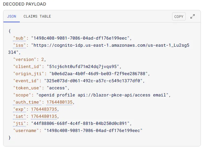 Attach custom API scope to app client