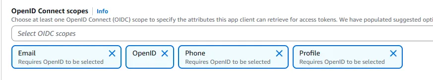 Attach custom API scope to app client