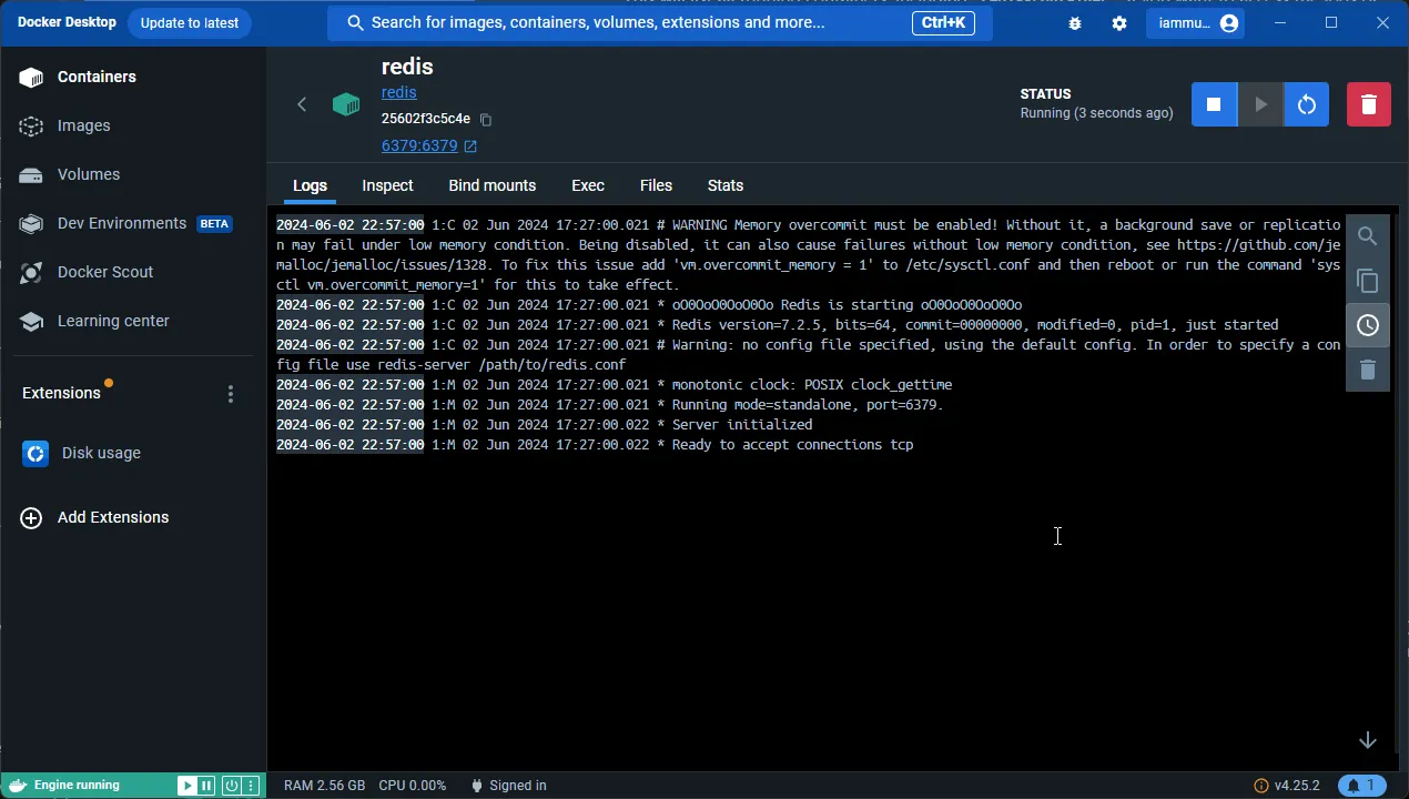 Run the Redis Container