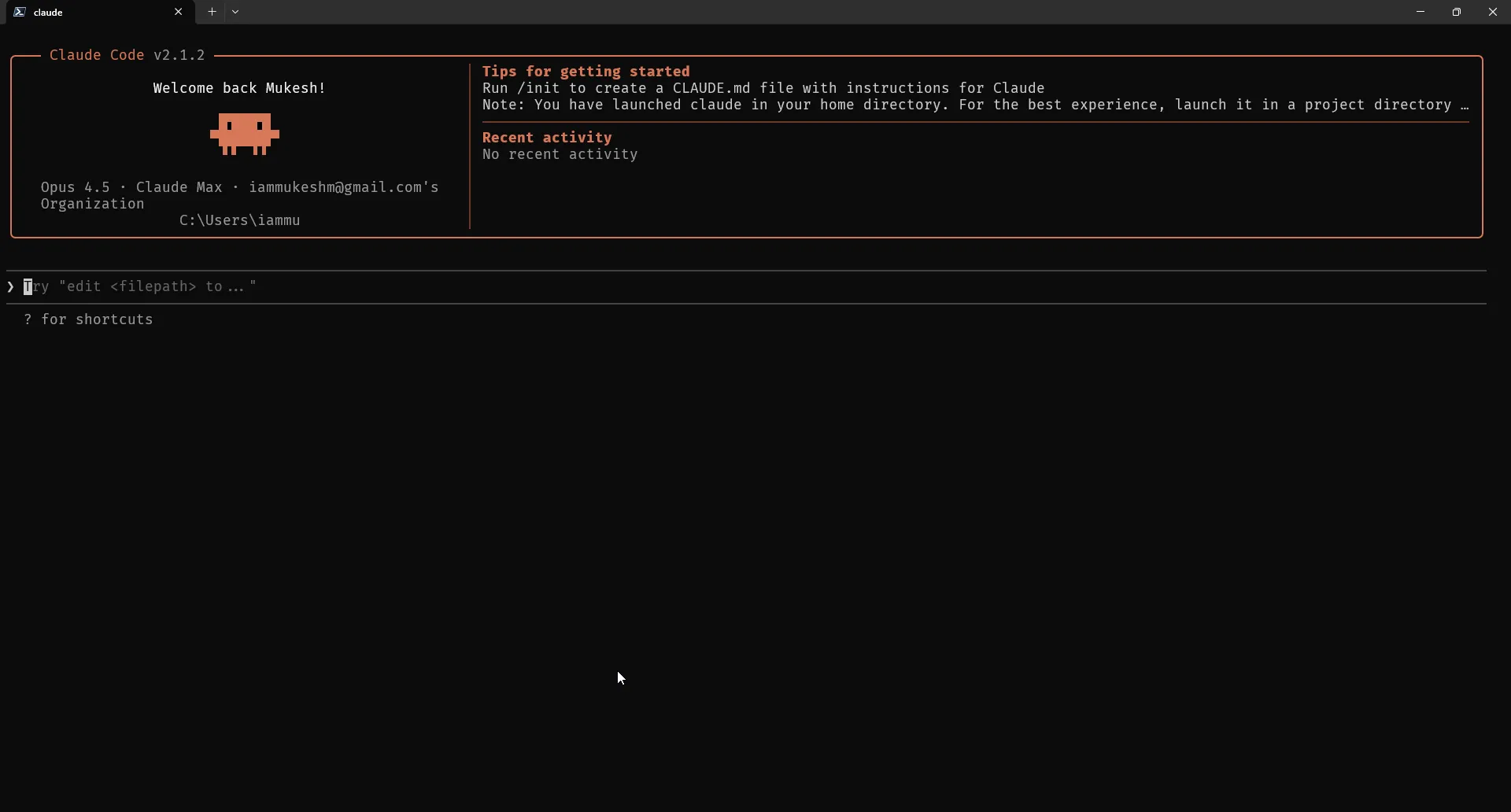 Claude Code CLI running in terminal Claude Code running inside terminal with command prompt ready for input